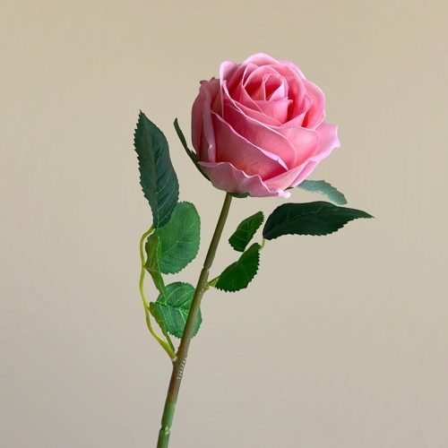 FSARCAN Bulgarian-Style Rose — Deep Pink