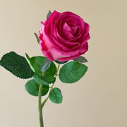 FSARCAN Bulgarian-Style Rose — Rose Red