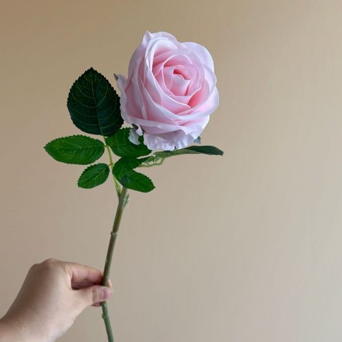 FSARCAN Bulgarian-Style Rose — Pink