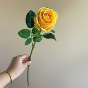 FSARCAN Bulgarian-Style Rose — Yellow