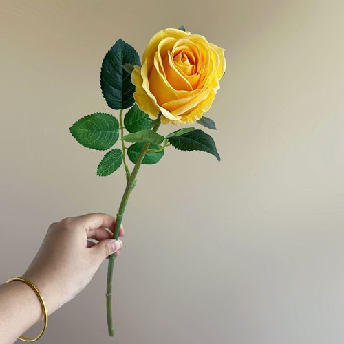 FSARCAN Bulgarian-Style Rose — Yellow