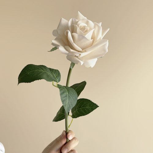 FSARCAN Vintage Autumn Rose — Cream White