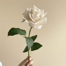 FSARCAN Vintage Autumn Rose — Cream White