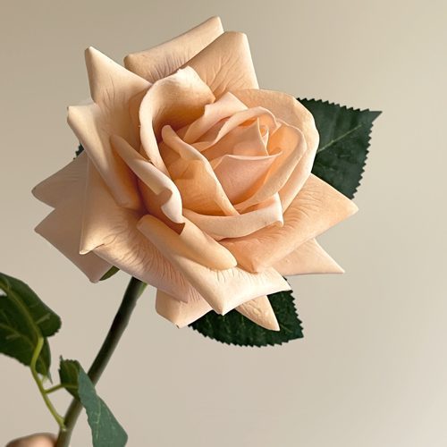 FSARCAN Vintage Autumn Rose — Orange Pink