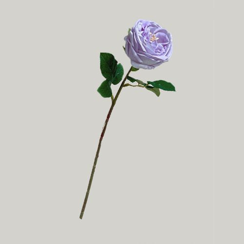 FSARCAN Austin-Style Rose — Purple