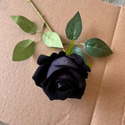 FSARCAN Single-Bloom Velvet Rose — Black