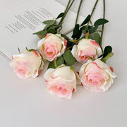 FSARCAN Bulgarian-Style Rose — Champagne Pink (Photo 1)