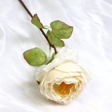 FSARCAN Diana-Style Antique-Edge Rose — White