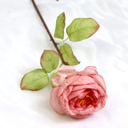 FSARCAN Diana-Style Antique-Edge Rose — Pink