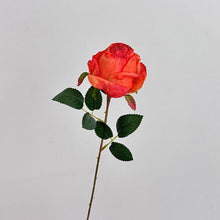 FSARCAN Antique-Edge Rose — Orange