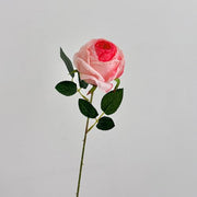 FSARCAN Antique-Edge Rose — Light Pink