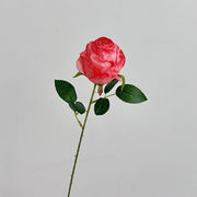 FSARCAN Antique-Edge Rose — Deep Pink