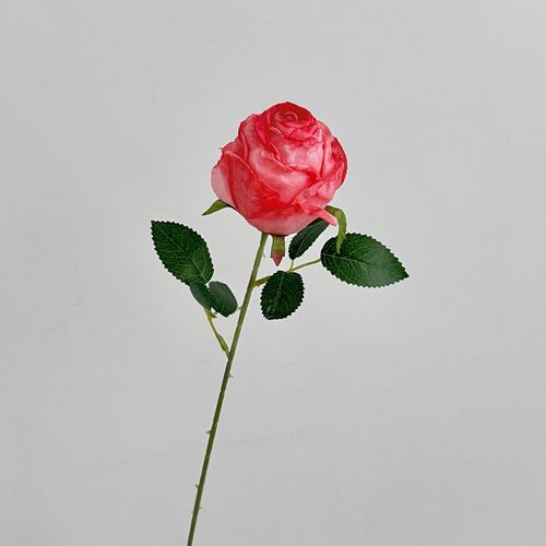 FSARCAN Antique-Edge Rose — Deep Pink
