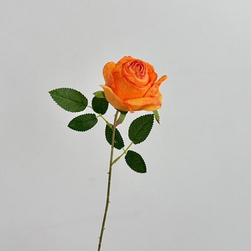 FSARCAN Antique-Edge Rose — Yellow