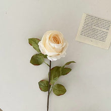 FSARCAN Antique-Edge Rose — White