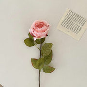 FSARCAN Antique-Edge Rose — Pink