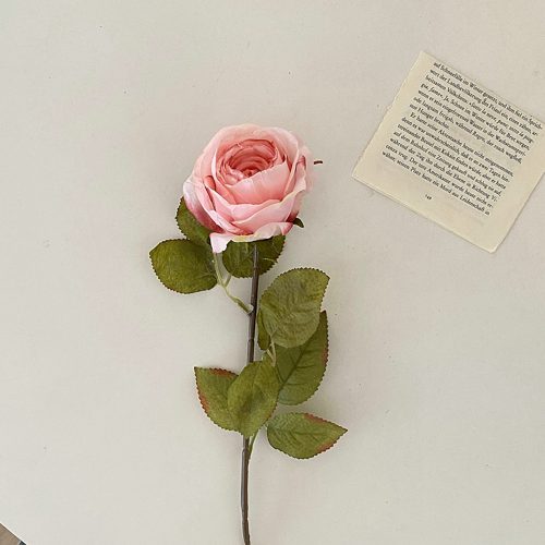 FSARCAN Antique-Edge Rose — Pink