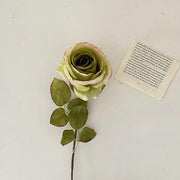 FSARCAN Antique-Edge Rose — Green
