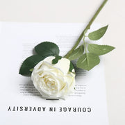 FSARCAN Menta-Style Rose — White