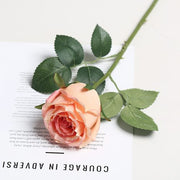 FSARCAN Menta-Style Rose — Champagne