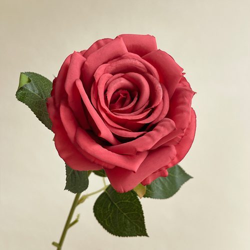 FSARCAN Single-Bloom Rose — Bright Red