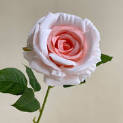 FSARCAN Single-Bloom Rose — Nude (Photo 2)