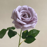 FSARCAN Single-Bloom Rose — Misty Purple