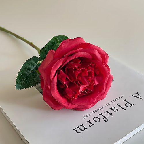 FSARCAN Austin-Style Rose — Bright Red