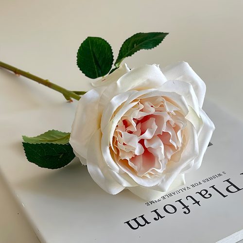 FSARCAN Austin-Style Rose — Nude