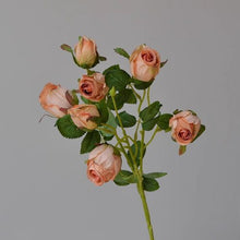 FSARCAN 7-Bloom Antique-Edge Rose — Autumn Orange