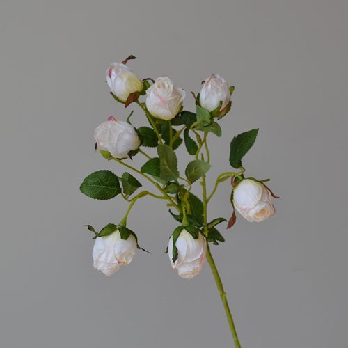 FSARCAN 7-Bloom Antique-Edge Rose — Autumn White
