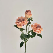 FSARCAN 3-Bloom Antique-Edge Rose — Khaki