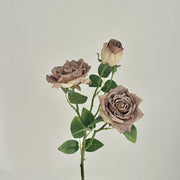 FSARCAN 3-Bloom Antique-Edge Rose — Coffee