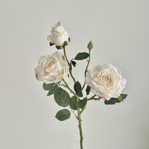 FSARCAN 3-Bloom Antique-Edge Rose — White