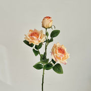 FSARCAN 3-Bloom Antique-Edge Rose — Champagne