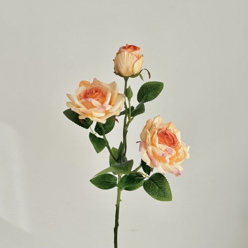 FSARCAN 3-Bloom Antique-Edge Rose — Champagne