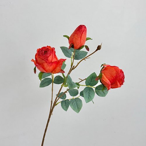 FSARCAN 3-Bloom Antique-Edge Rose — Orange