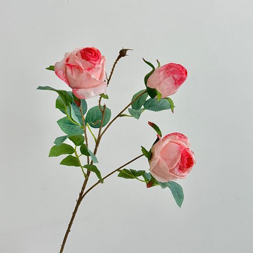 FSARCAN 3-Bloom Antique-Edge Rose — Light Pink