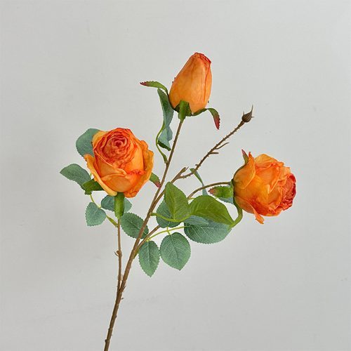 FSARCAN 3-Bloom Antique-Edge Rose — Yellow