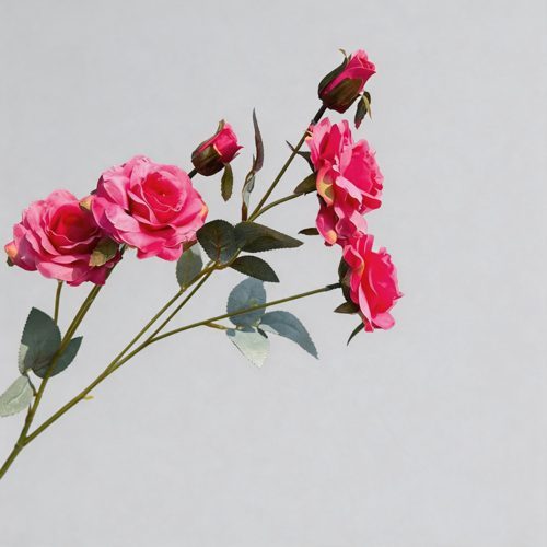 FSARCAN 6-Bloom Pointed-Petal Rose Stem — Rose Red