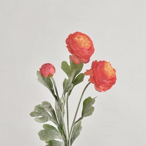 FSARCAN 3-Bloom Flocked Ranunculus — Sunset