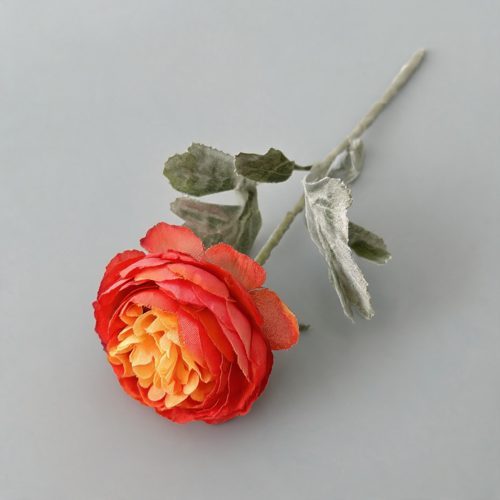 FSARCAN Short-Stem Ranunculus — Sunset Red