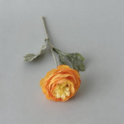 FSARCAN Short-Stem Ranunculus — Orange