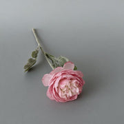 FSARCAN Short-Stem Ranunculus — Pink Purple