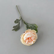 FSARCAN Short-Stem Ranunculus — Champagne