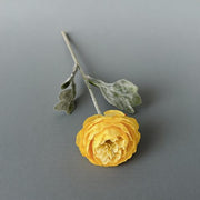 FSARCAN Short-Stem Ranunculus — Yellow