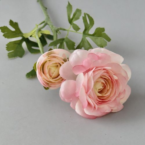 FSARCAN 2-Bloom Ranunculus — Light Pink