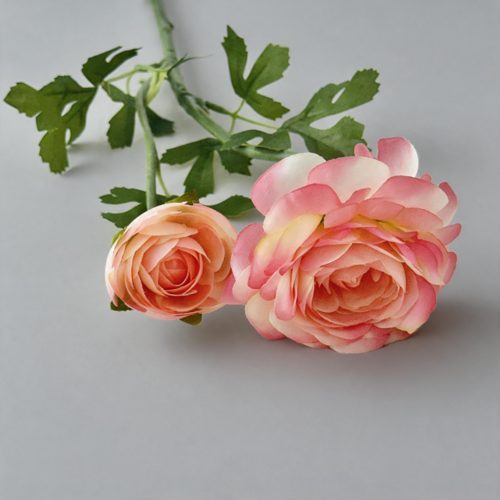 FSARCAN 2-Bloom Ranunculus — Deep Pink