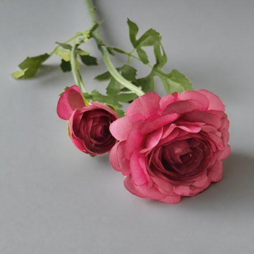 FSARCAN 2-Bloom Ranunculus — Rose Red