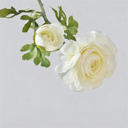 FSARCAN 2-Bloom Ranunculus — White